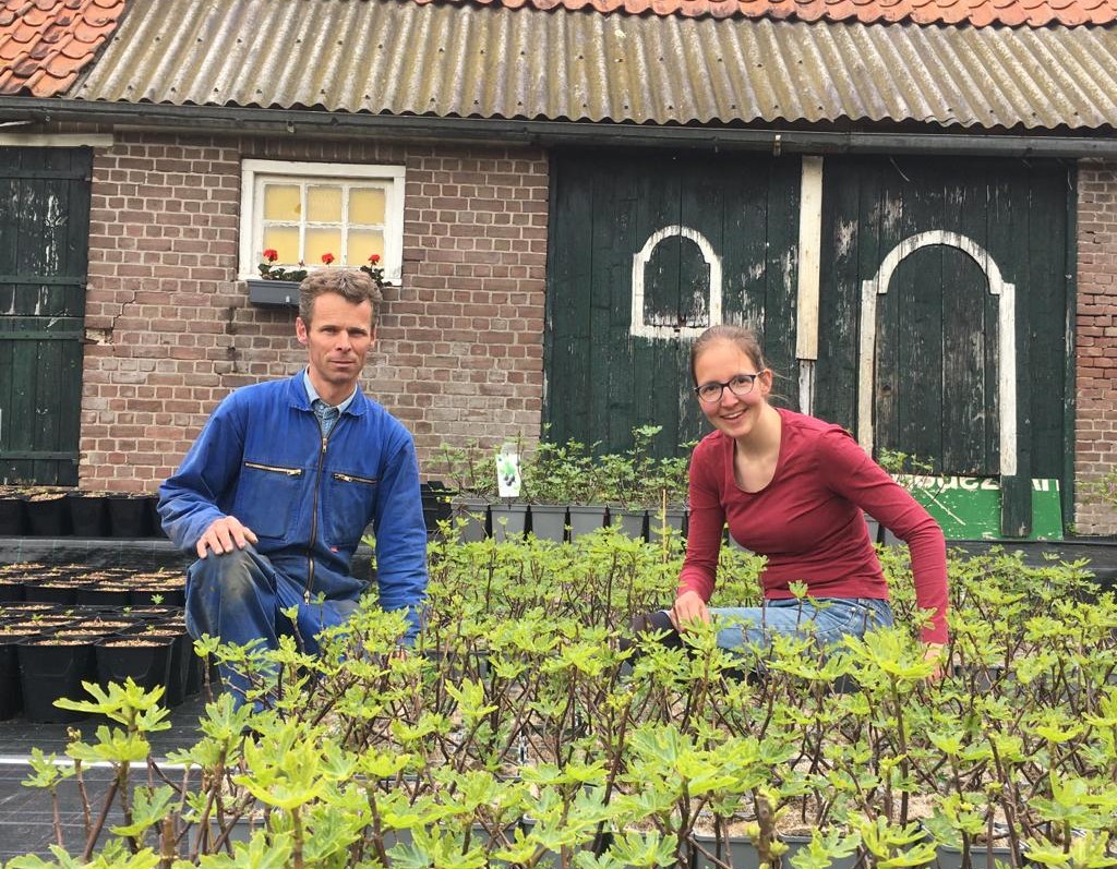 Extra Zeeuwse locatie om te bezoeken Extra Zeeuwse locatie om te bezoeken